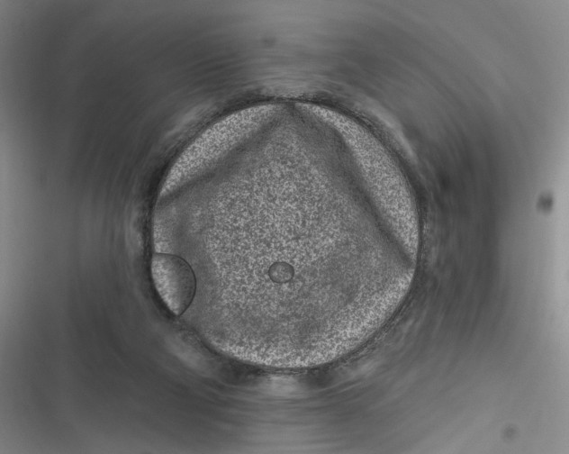 X0000116890114201001121352