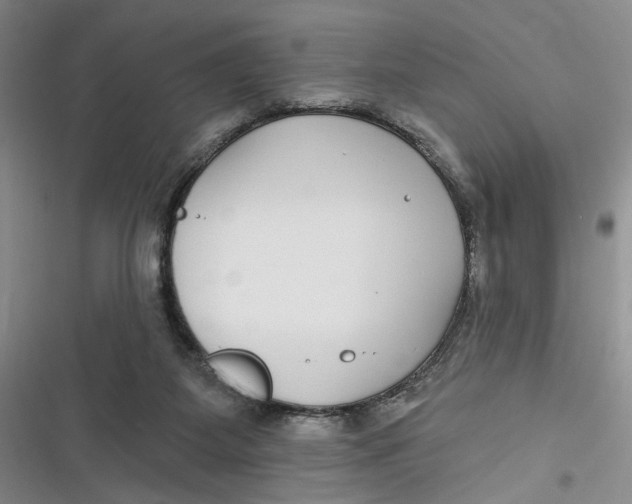 X0000116890115201001121351