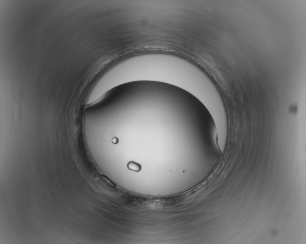 X0000116890116201001121351