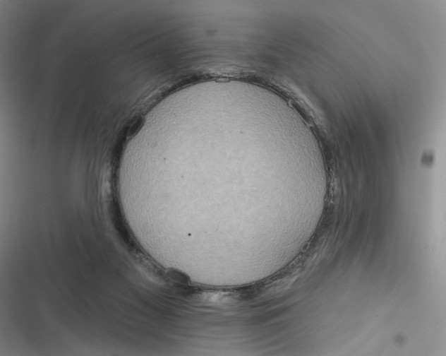 X0000116890117201001121351