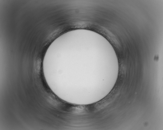 X0000116890118201001121351