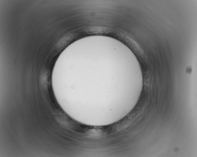 X0000116890119201001121351