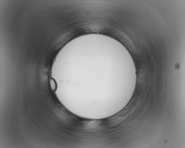 X0000116890122201001121351