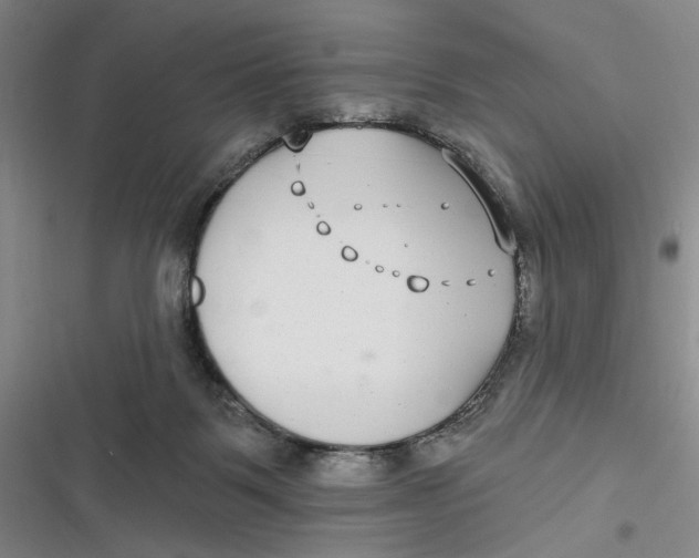 X0000116890123201001121351