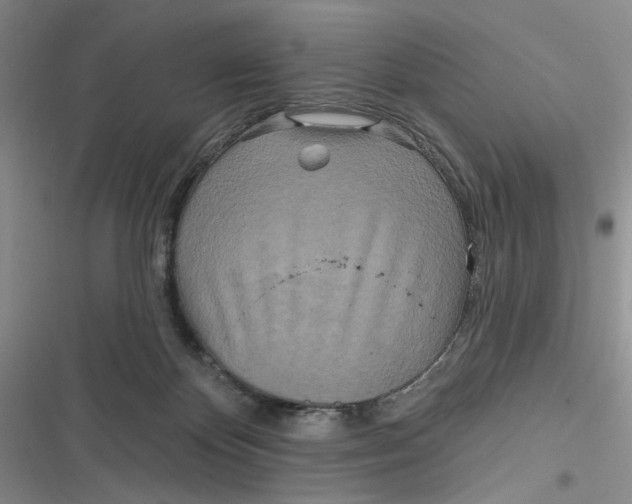 X0000116890124201001121351