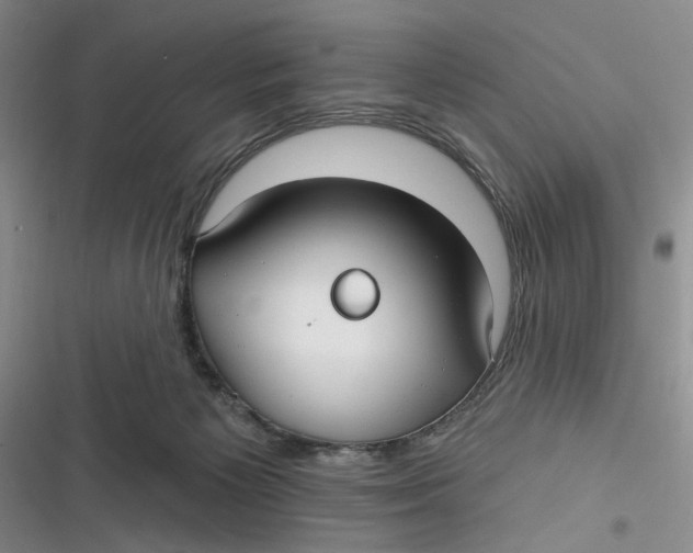 X0000116890125201001121351