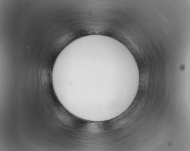 X0000116890126201001121351