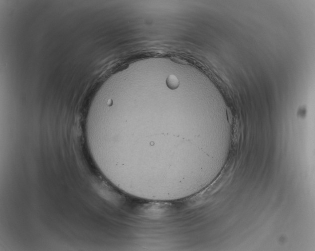 X0000116890128201001121351