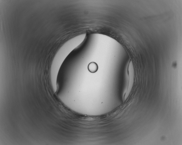 X0000116890129201001121351