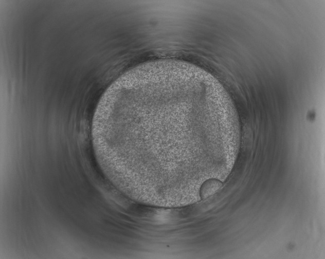 X0000116890130201001121351