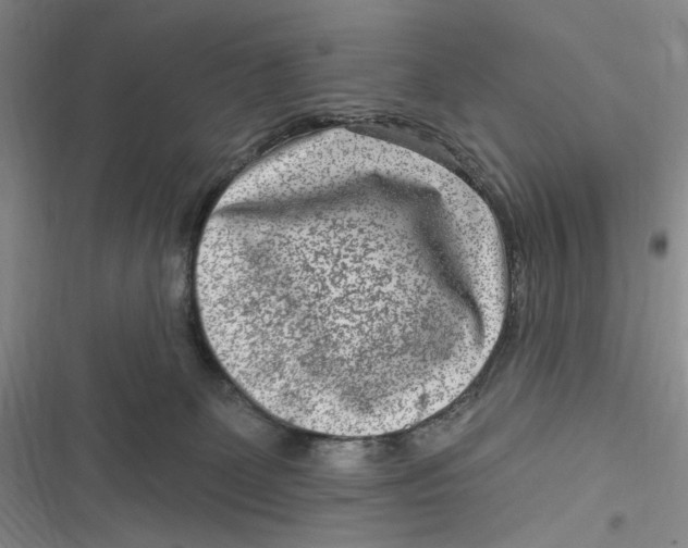 X0000116890131201001121351