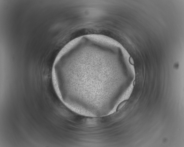 X0000116890134201001121351