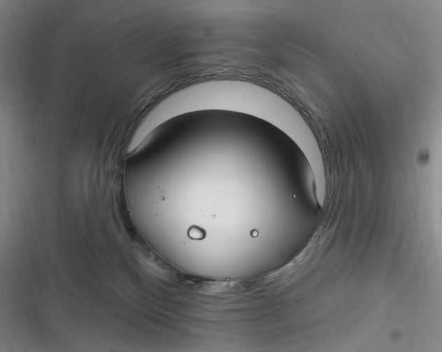 X0000116890136201001121351