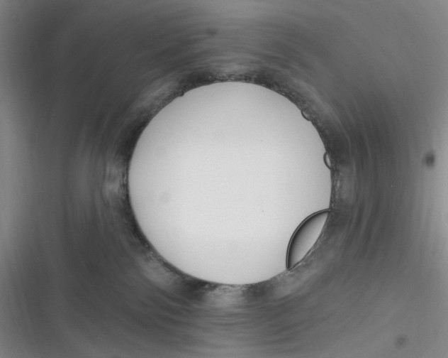 X0000116890138201001121351