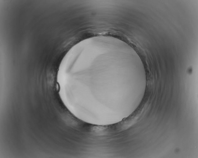 X0000116890139201001121351