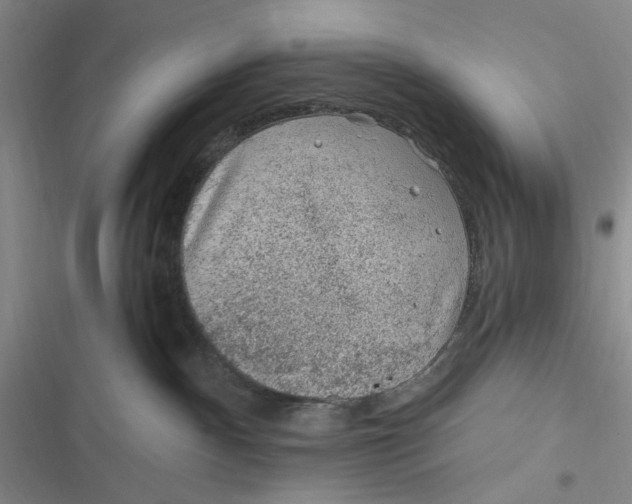 X0000116890140201001121351