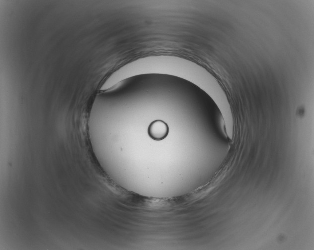 X0000116890141201001121351