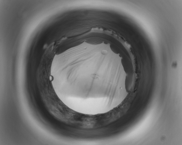 X0000116890143201001121351