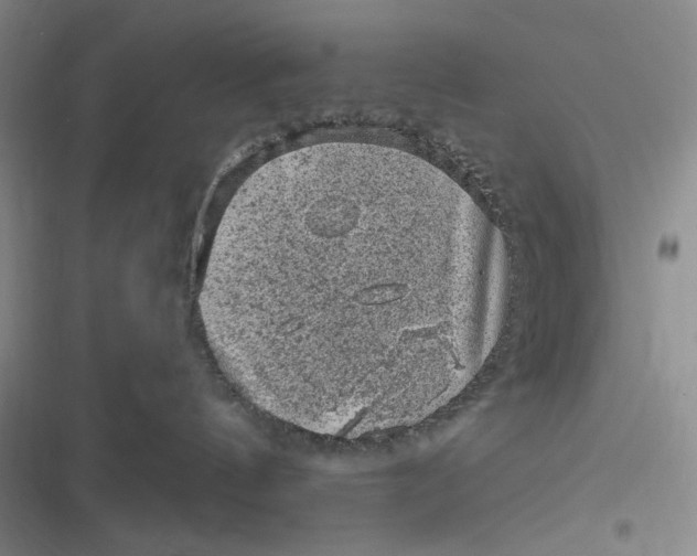 X0000116890144201001121351