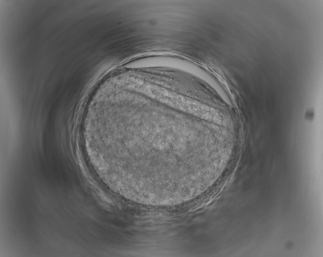 X0000116890145201001121350