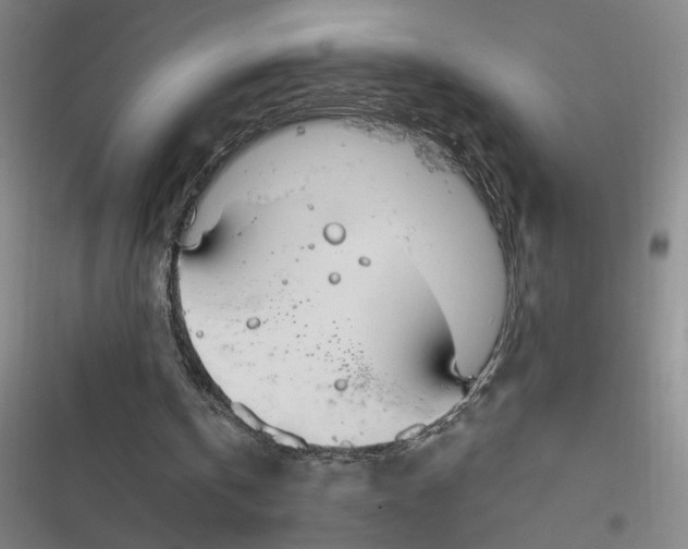 X0000116890146201001121350