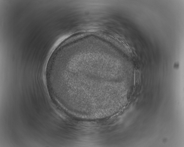 X0000116890147201001121350