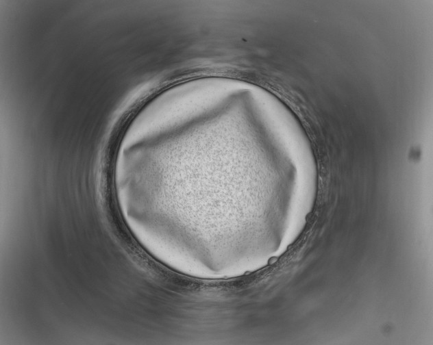 X0000116890149201001121350