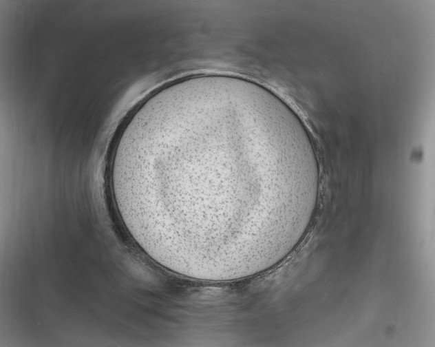 X0000116890151201001121351