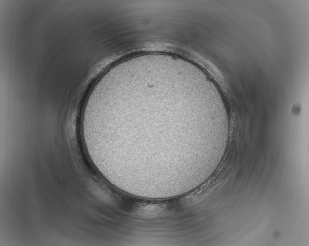 X0000116890155201001121351