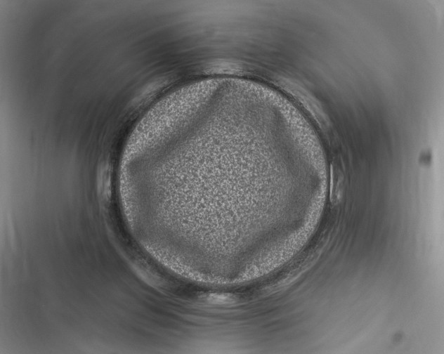 X0000116890157201001121351