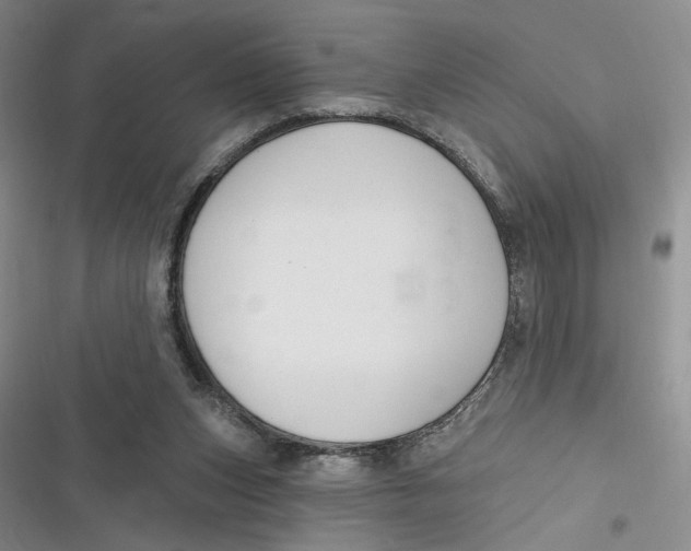 X0000116890159201001121351