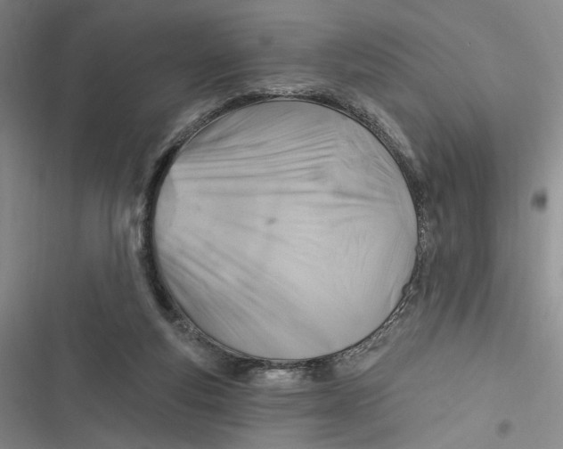 X0000116890163201001121351