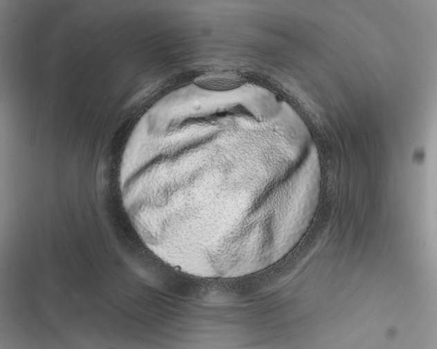 X0000116890165201001121351