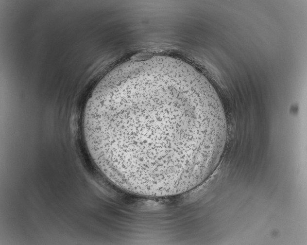 X0000116890166201001121351