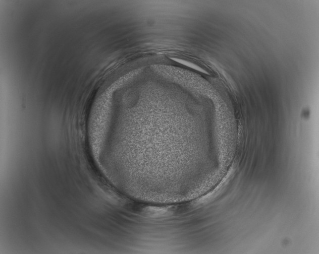 X0000116890170201001121351