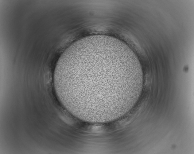 X0000116890173201001121351