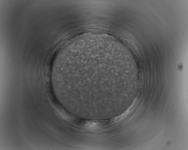 X0000116890174201001121351