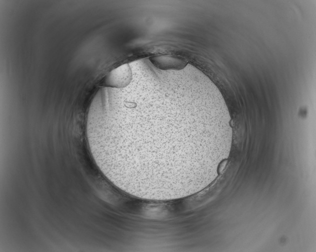 X0000116890175201001121351