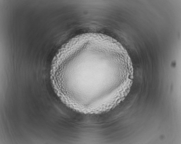 X0000116890177201001121351