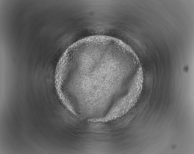 X0000116890181201001121351