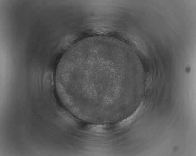 X0000116890182201001121351