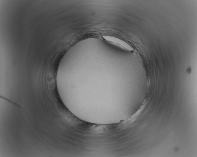 X0000116890186201001121351