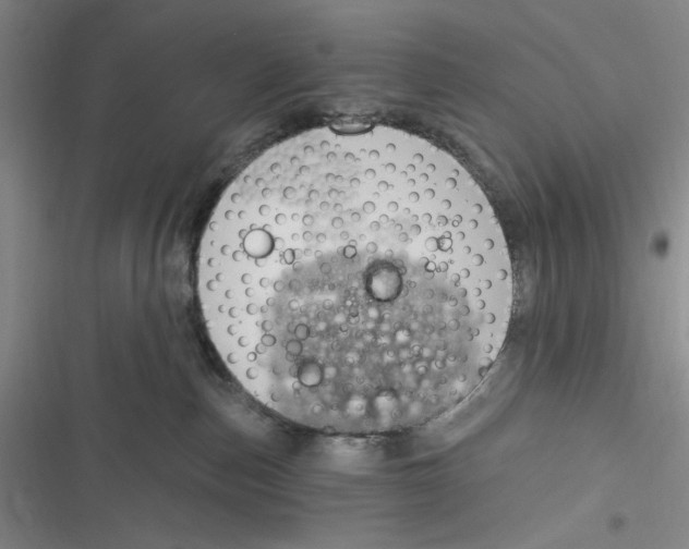 X0000116890187201001121351