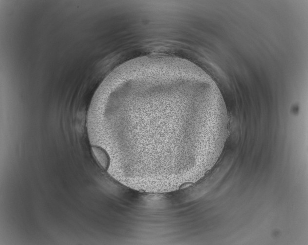 X0000116890189201001121351