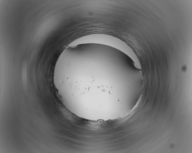 X0000116890190201001121351