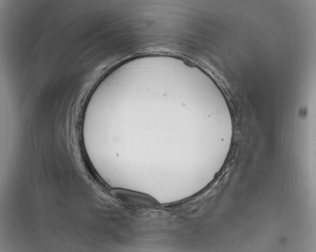 X0000116890193201001121350