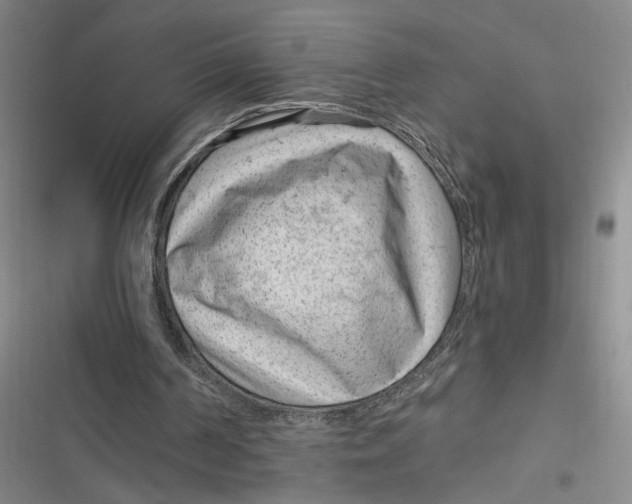 X0000116890194201001121350