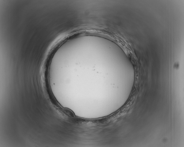 X0000116890197201001121350