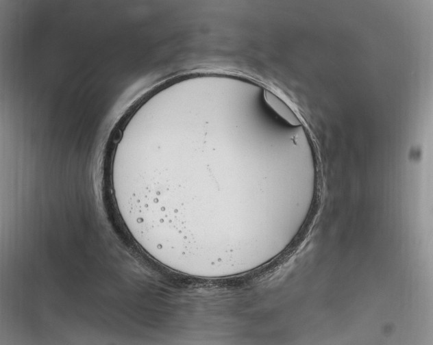 X0000116890199201001121350