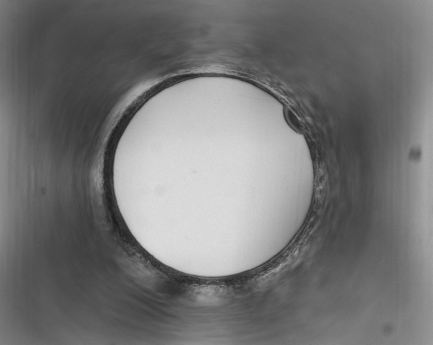 X0000116890200201001121350